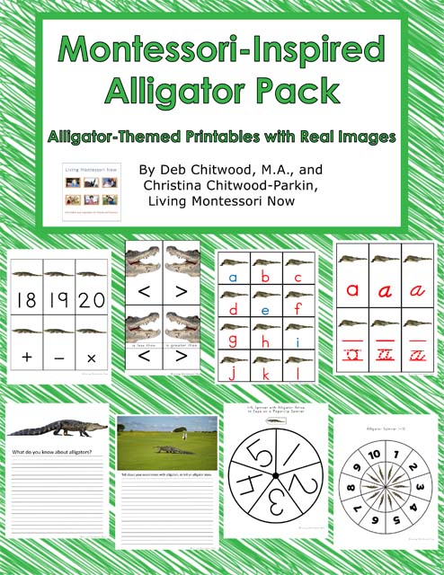 boardmaker free printables alligator