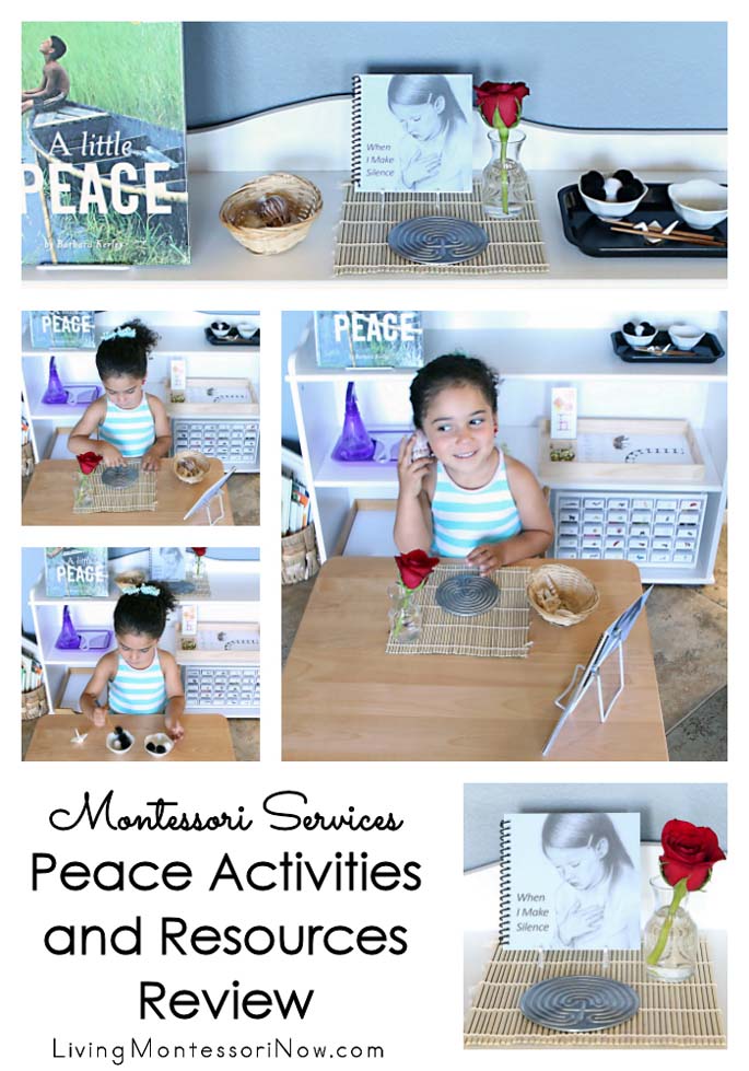 Montessori Services Peace Activities and Resources Review