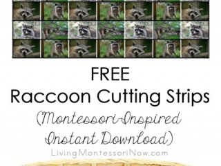 FREE Raccoon Cutting Strips (Montessori-Inspired Instant Download)