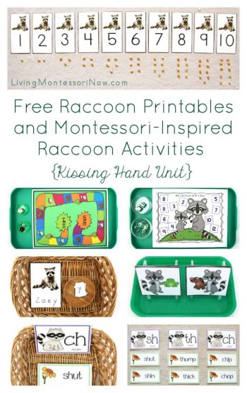 Free Raccoon Printables and Montessori-Inspired Raccoon Activities {Kissing Hand Unit}