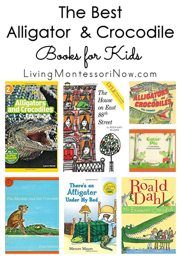 The Best Alligator and Crocodile Books for Kids