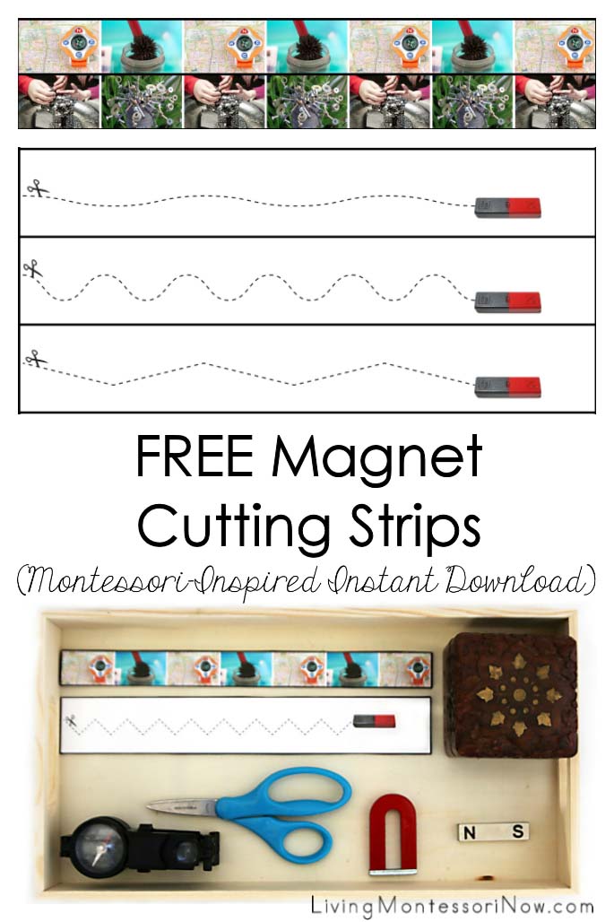 FREE Magnet Cutting Strips (Montessori-Inspired Instant Download)
