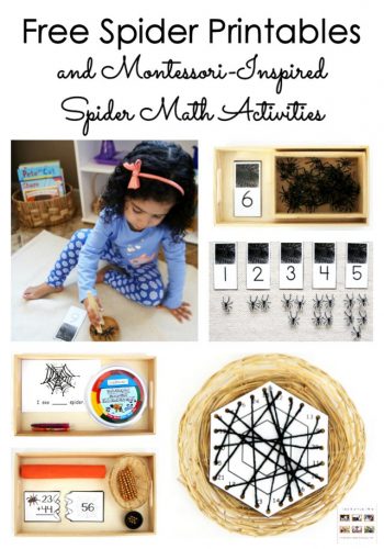 free-spider-printables-and-montessori-inspired-spider-math-activities