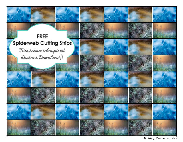 Free Spiderweb Cutting Strips