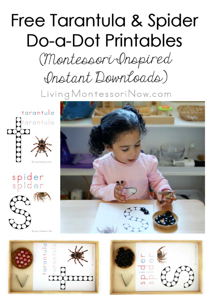 Free Tarantula & Spider Do-a-Dot Printables (Montessori-Inspired Instant Downloads)