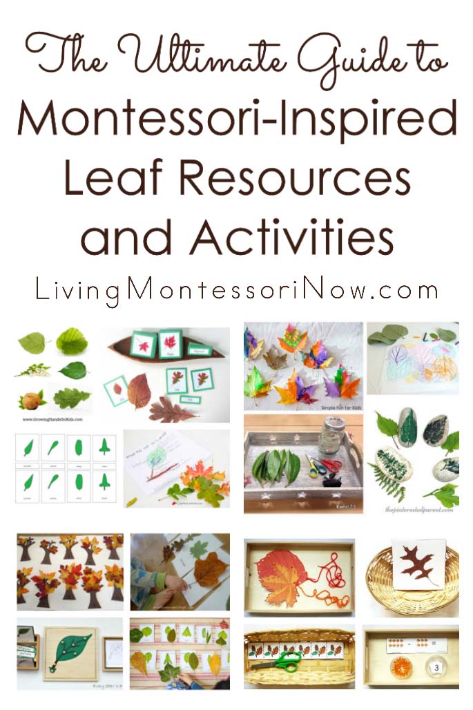 montessori activities 12 months