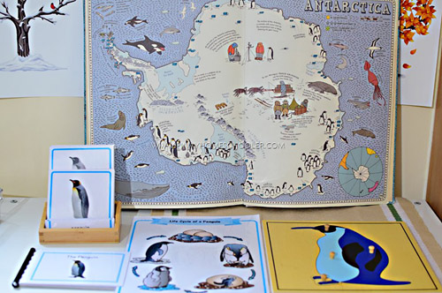Antarctica Materials (Photo from The Pinay Homeschooler)