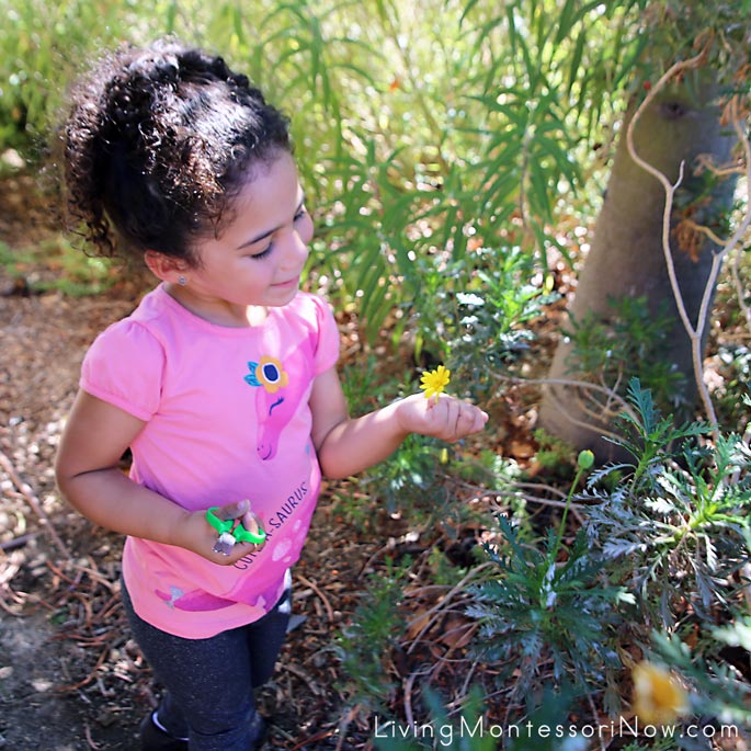 Cutting Flowers on Our Nature Walk