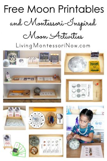 Free Moon Printables and Montessori-Inspired Moon Activities