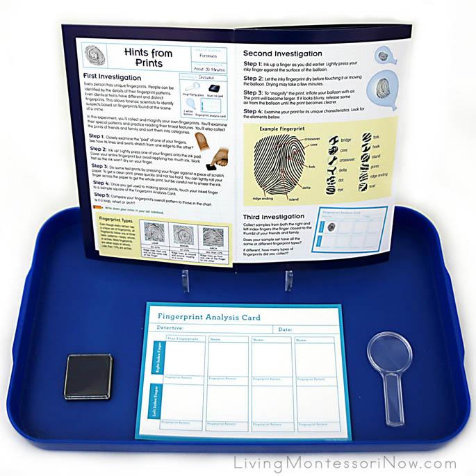 Materials for Forensic Science Hints from Prints