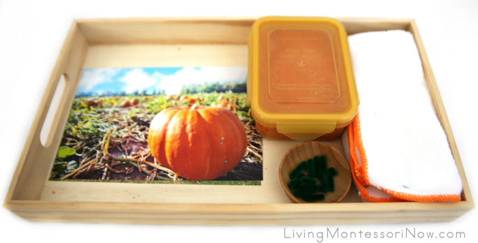 Montessori-Inspired Pumpkin Playdough Math Tray