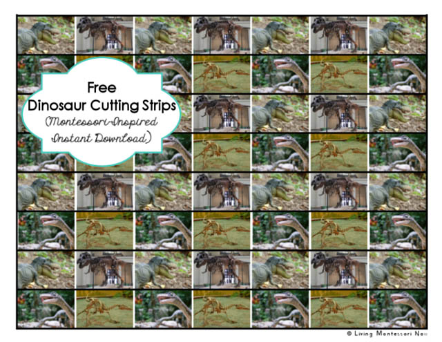 Free Dinosaur Cutting Strips