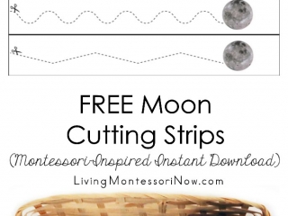 Free Moon Cutting Strips (Montessori-Inspired Instant Download)