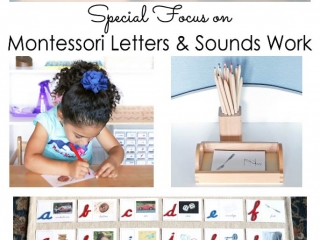 Special Focus on Montessori Letters and Sounds Work in Manuscript or Cursive