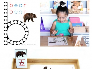 FREE Bear Do-a-Dot Printable (Montessori-Inspired Instant Download)