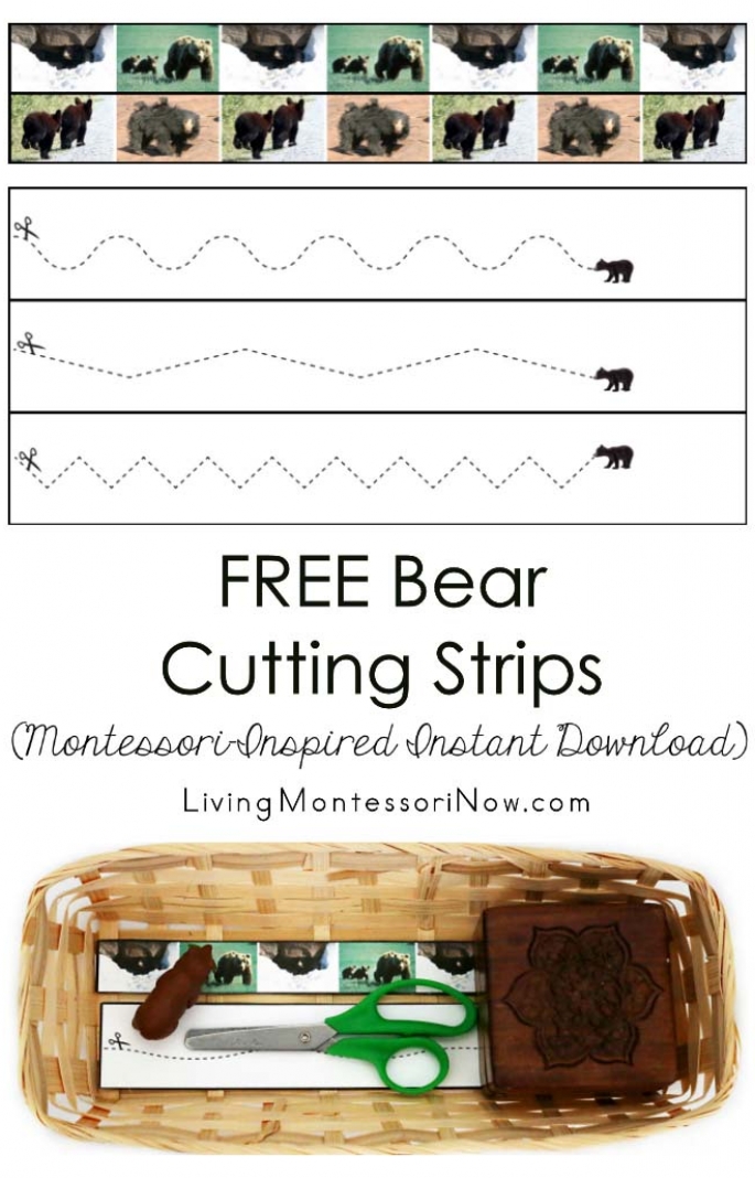 Free Bear Cutting Strips (Montessori-Inspired Instant Download)