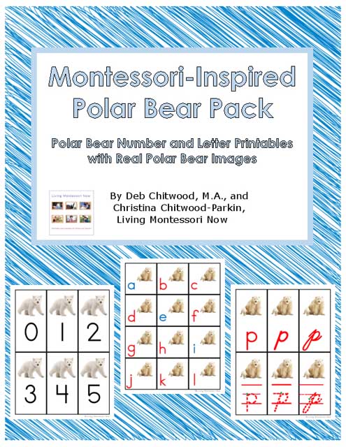 Polar Animals Flash Card  Montessori Printable Resources – Montessori  Marbles