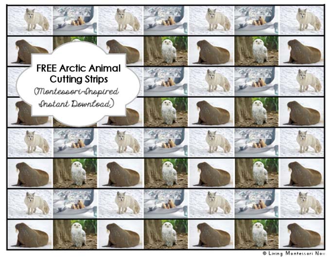 Free Arctic Animal Cutting Strips