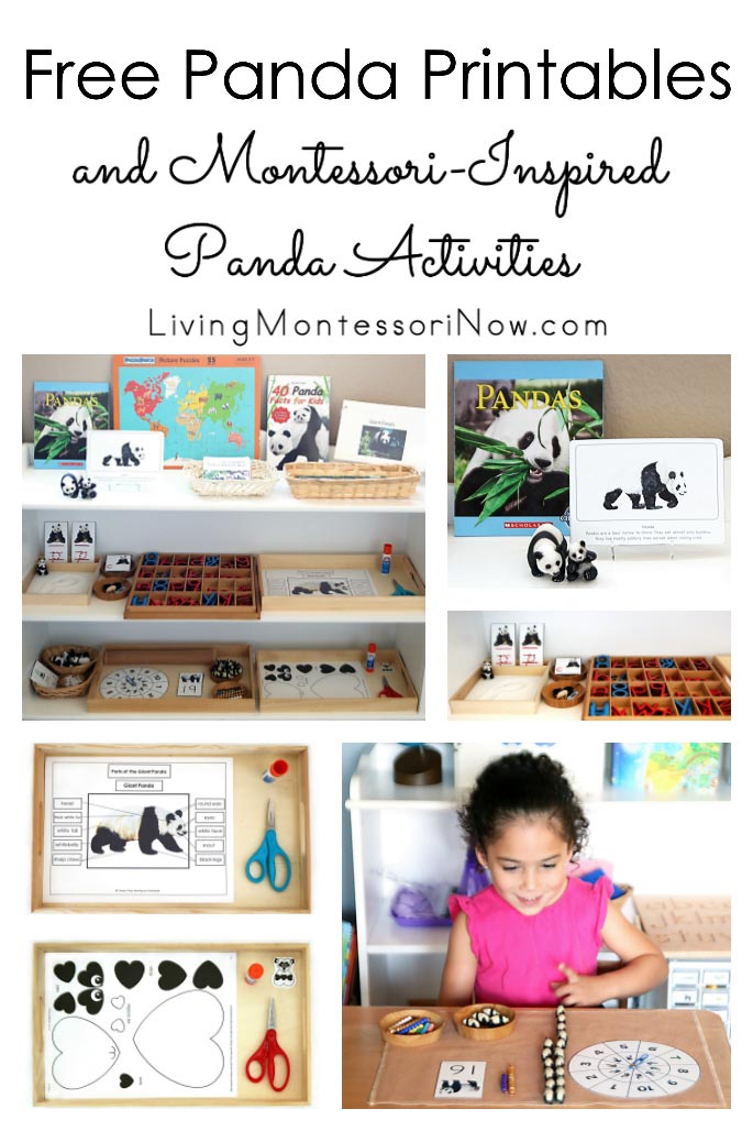 Free Panda Printables and Montessori-Inspired Panda Activities