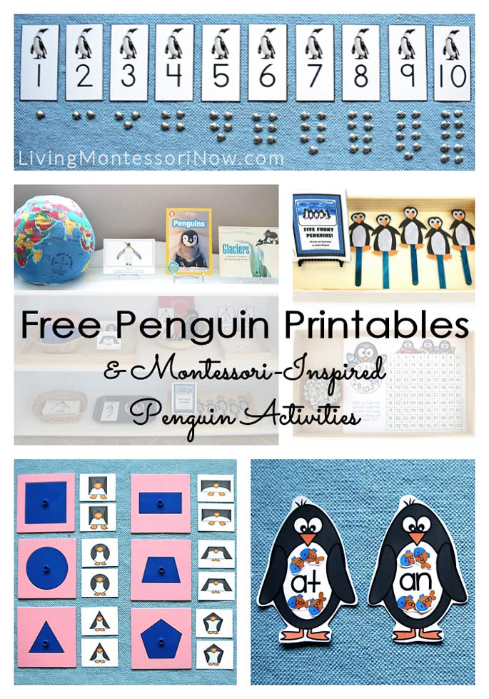 Free Penguin Printables and Montessori-Inspired Penguin Activities