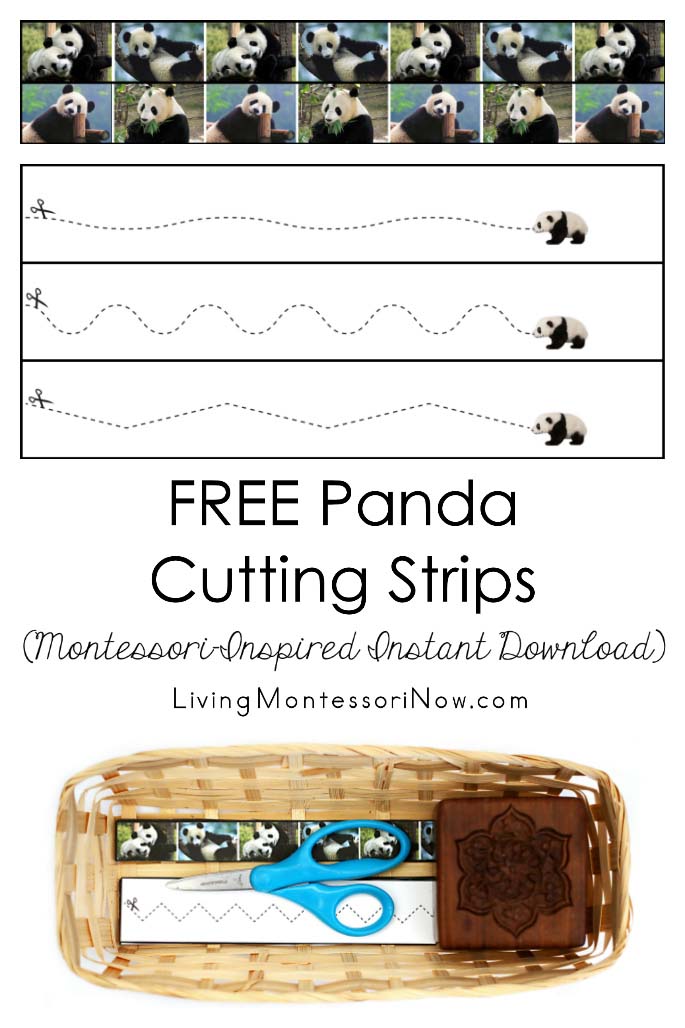 FREE Panda Cutting Strips (Montessori-Inspired Instant Download)