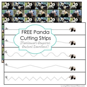 Free Panda Cutting Strips (Montessori-Inspired Instant Download)