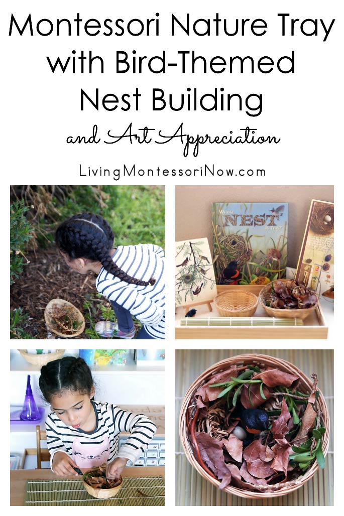 Montessori Nature Tray with Bird-Themed Nest Building and Art Appreciation