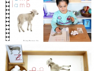 FREE Lamb Do-a-Dot Printable (Montessori-Inspired Instant Download)