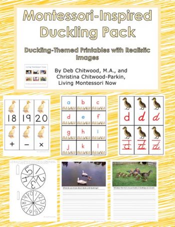 Montessori-Inspired Duckling Pack