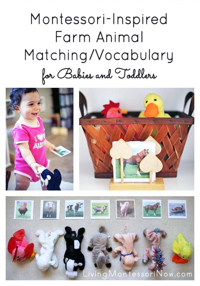 Montessori-Inspired Farm Animal Matching/Vocabulary for Babies and Toddlers