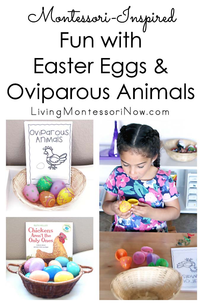 Montessori-Inspired Fun with Easter Eggs and Oviparous Animals - Living  Montessori Now