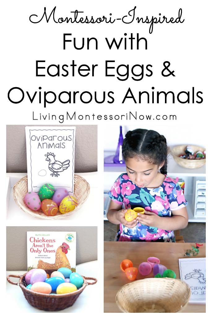 Egg Slicing Activity - Montessori Services