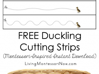 FREE Duckling Cutting Strips (Montessori-Inspired Instant Download)
