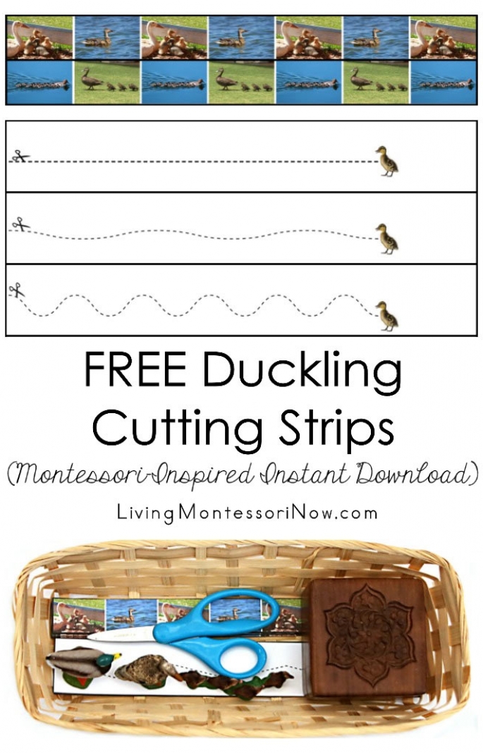 FREE Duckling Cutting Strips (Montessori-Inspired Instant Download)