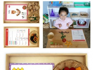Montessori-Inspired Flower Activities with Spielgaben