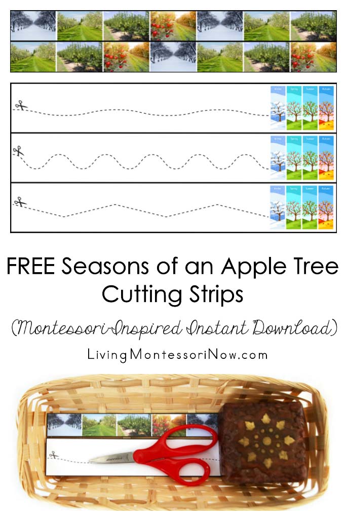 Free Seasons of an Apple Tree Cutting Strips (Montessori-Inspired Instant Download)