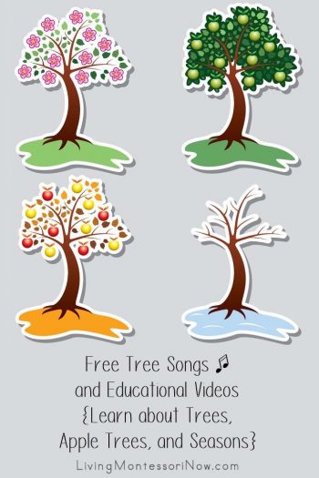 Free Tree Songs and Educational Videos {Learn about Trees, Apple Trees, and Seasons}