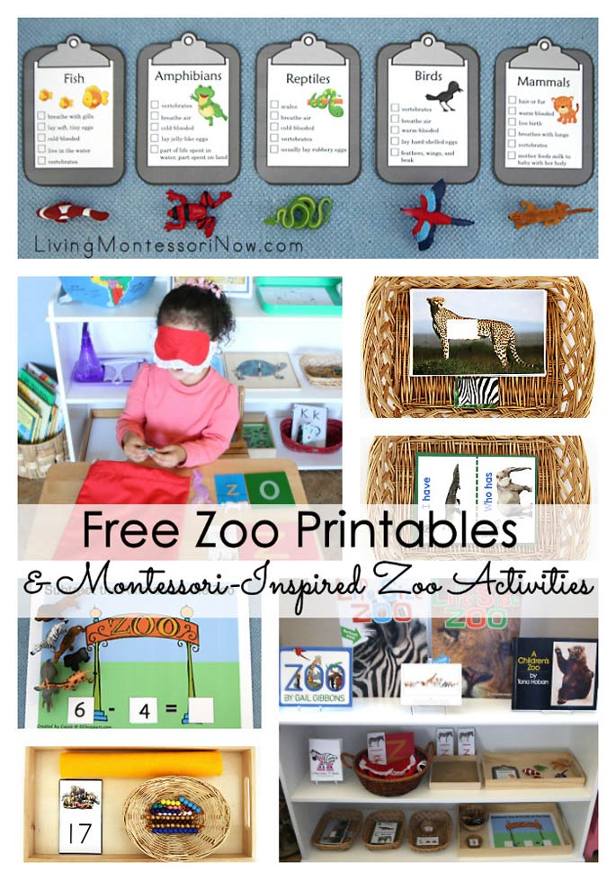 free zoo printables and montessori inspired zoo activities living montessori now