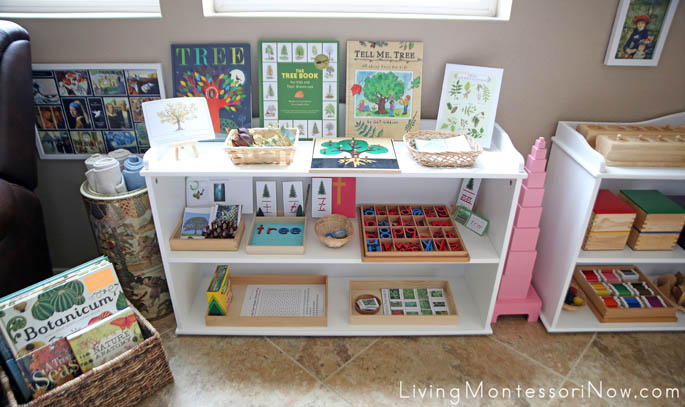Part of My Tree-Themed Montessori Area for a 4½ Year Old