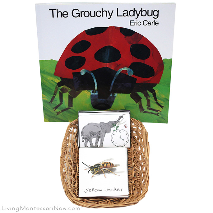 The Grouchy Ladybug Book with Sequencing and Matching Cards