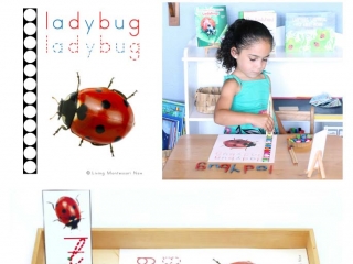 FREE Ladybug Do-a-Dot Printable (Montessori-Inspired Instant Download)