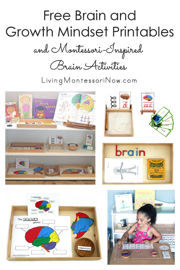 DIY Montessori Movable Alphabet (Free Printables) - Natural Beach Living