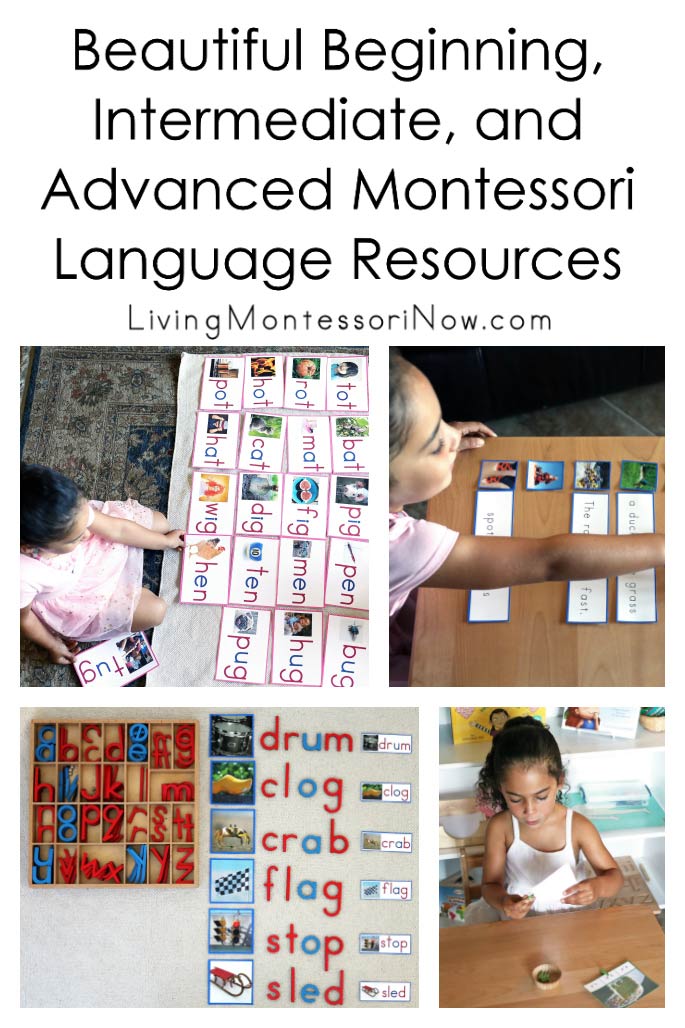 Montessori Pink Blue Green Language Series 