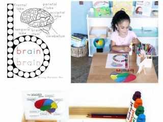 LMN - FREE Brain Do-a-Dot Printable (Montessori-Inspired Instant Download)