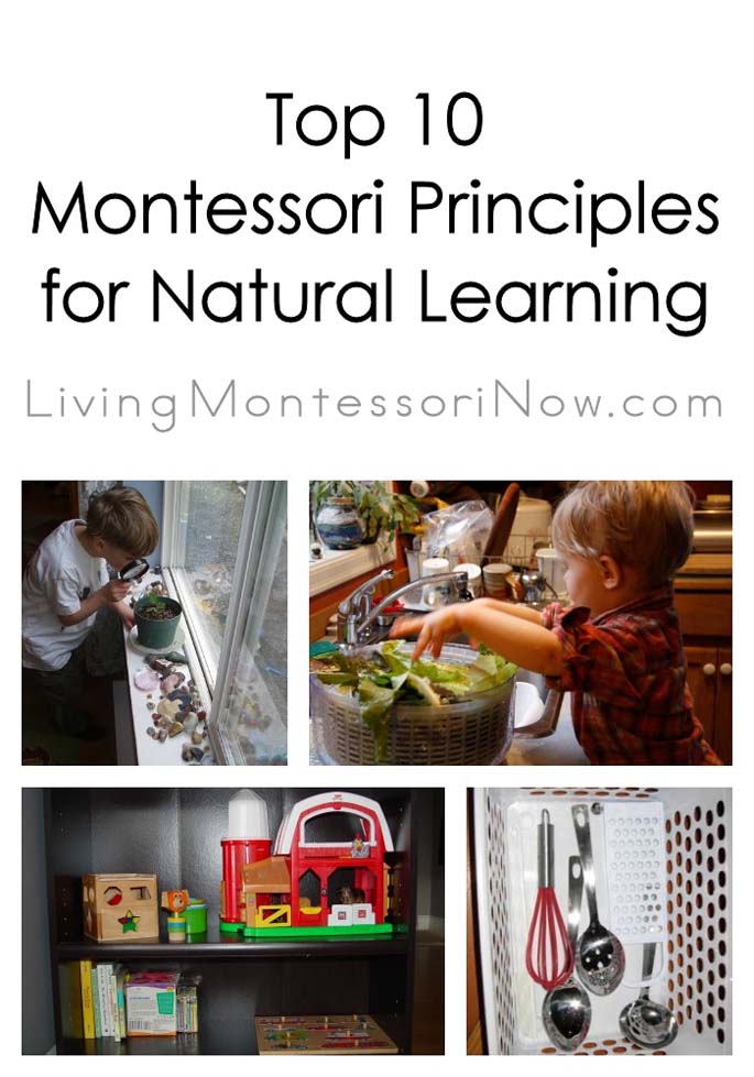 Top 10 Montessori Principles for Natural Learning