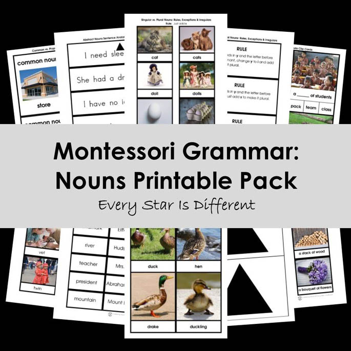 Montessori Grammar: Nouns Printable Pack