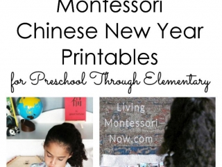 Montessori Chinese New Year Printables for Preschool Through Elementary