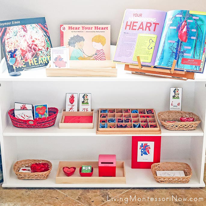 Montessori Shelves with Heart Themed Activities