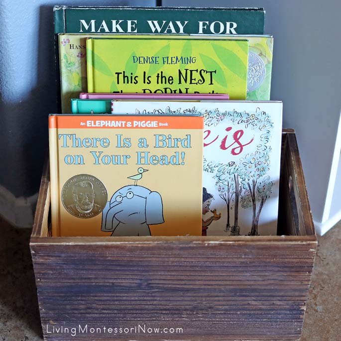 Book Basket with Fiction Books about Birds