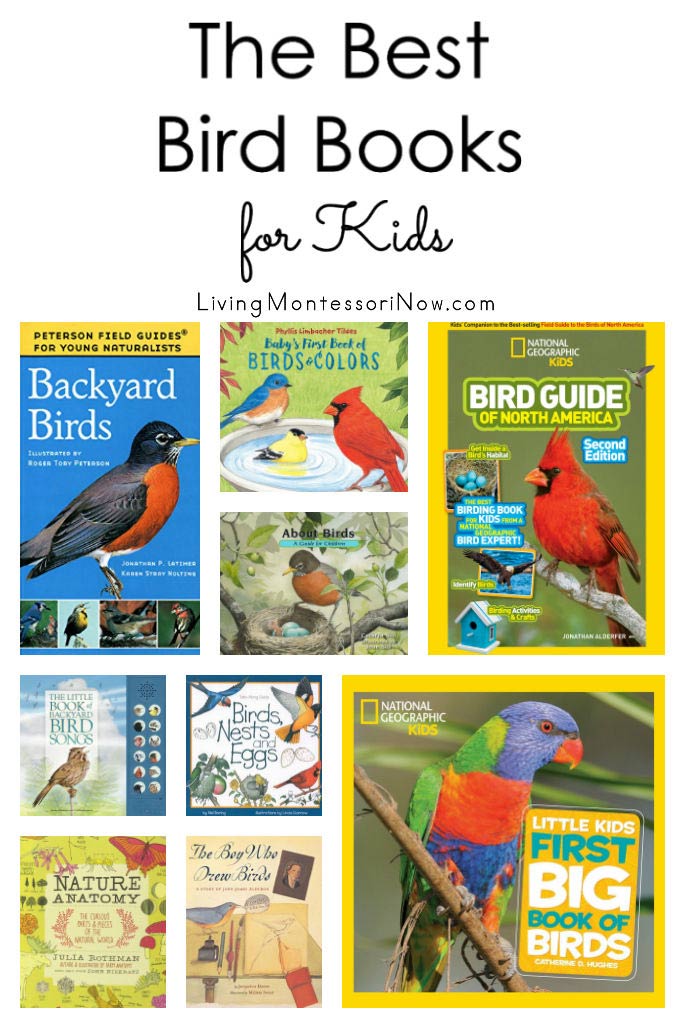 The Best Bird Books for Kids - Living Montessori Now